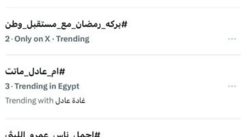 هاشتاج «جمهور الأهلي في ضهر الأهلي» يتصدر موقع X بتفاعل واسع